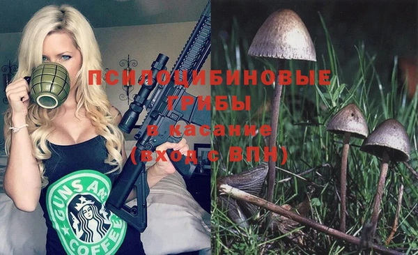 метадон Армянск