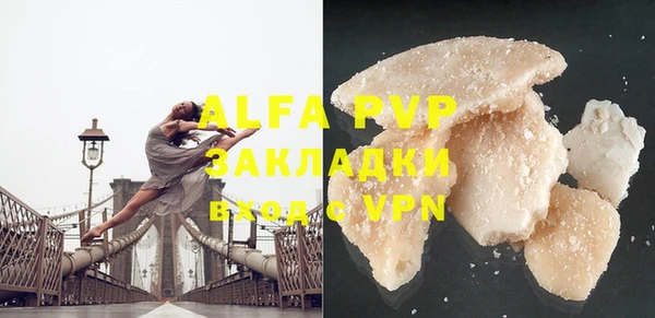 стафф Арсеньев