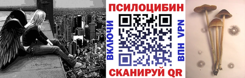 Псилоцибиновые грибы мухоморы Свободный